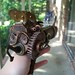 Ray Craft Photo 25