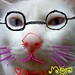 Siu Mon Photo 6