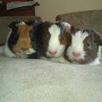 Debbie Yeomans Photo 13