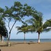 Cindy Costa Photo 37