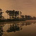 Alexander Tuttle Photo 14