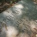 Ann Plummer Photo 12