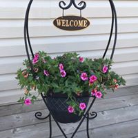 Debra Beaulieu Photo 16