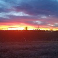 Leann Cook Photo 36