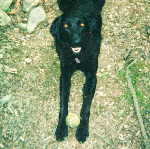 Mark Spaulding Photo 28