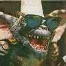 Ronald Cartwright Photo 14