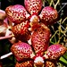 Kathy Summers Photo 39