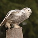 Alan Estep Photo 16