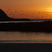 Kathy Walton Photo 36