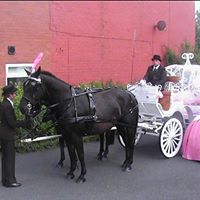 Barry Collier Photo 24