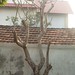 Phu Dinh Photo 14