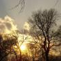 Kevin Zheng Photo 23