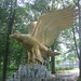 Robert Eagles Photo 16