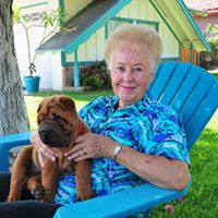 Judy Welch Photo 9