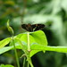 Dawn Farver Photo 8