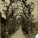 Mary Bowers Photo 34