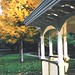 Stephen Herbst Photo 17