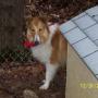 Judy Snyder Photo 12