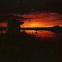 James Baughman Photo 18
