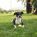 Jodie Sweet Photo 9