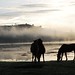 Dawn Gregory Photo 29