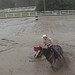 Linda Hutchison Photo 16