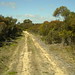 Frances Bullock Photo 22