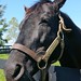 Heather Byars Photo 18