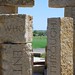 Jacob Cross Photo 12