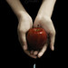 Stephanie Apple Photo 24
