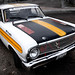 Rene Falcon Photo 15