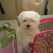 Bradley Mackenzie Photo 8
