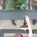 Nicole Peacock Photo 10