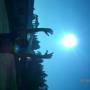Joshua Inman Photo 21