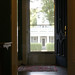 Diane Fitzsimmons Photo 14