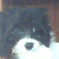 Patricia Lea Photo 7