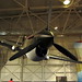 Curtiss Wheeler Photo 1
