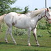 Gail Ferguson Photo 17