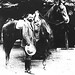 Porfirio Perez Photo 32