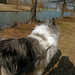 Robbie Pond Photo 4