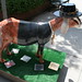 Donna Kidd Photo 16