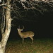 Roger Sutherland Photo 20