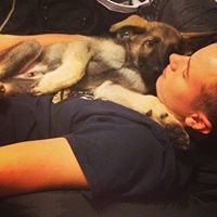 Cody Arnold Photo 31