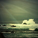 Joyce Ray Photo 16