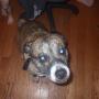 Heather Beaver Photo 24