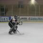 Steve Ellis Photo 11