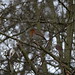 Dean Clements Photo 10