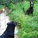 Julie Hiers Photo 10