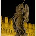 Angelo Ferrante Photo 10