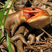 Jeffrey Broadhead Photo 8